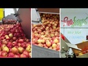 youtube - [Video]
