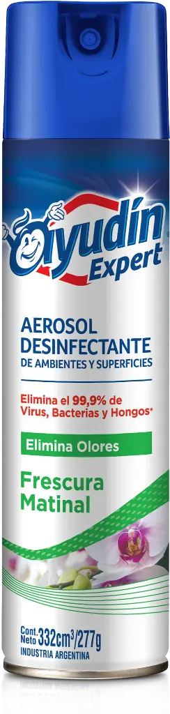 [100992] Ayudin Aerosol Frescura Matinal x332ml (x6)